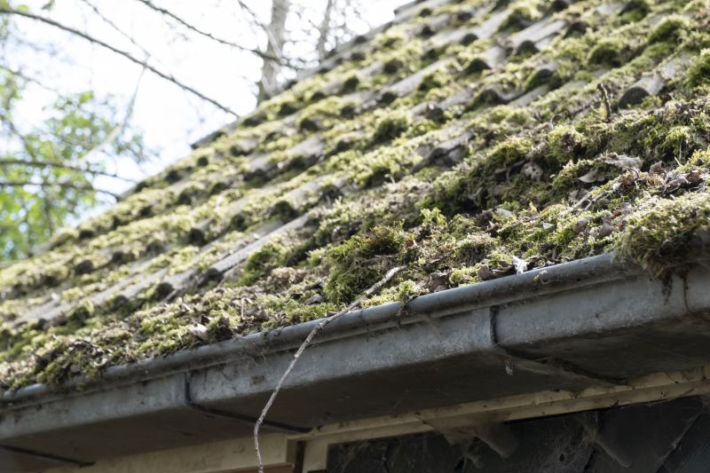 Contact About Roof Moss Cleaning