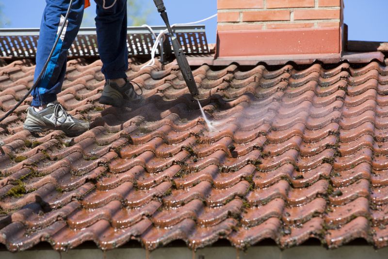 Roof Moss Cleaning