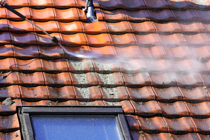 Roof Moss Cleaning