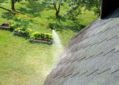 Roof Moss Cleaning