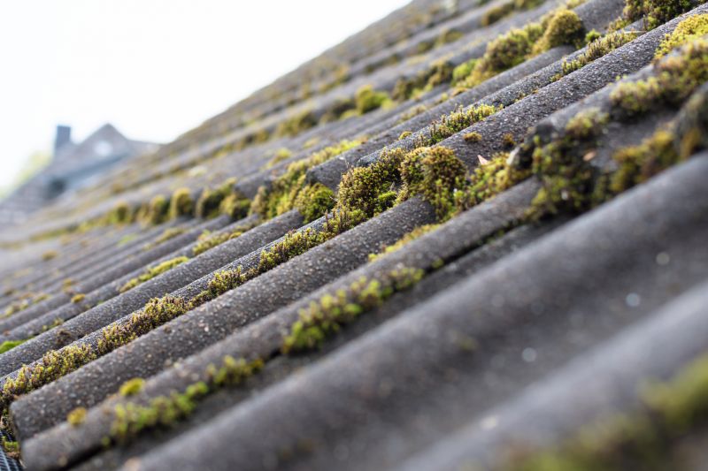 Roof Moss Cleaning