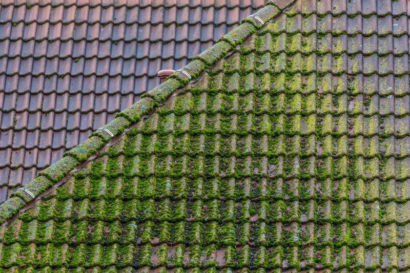 Roof Moss Cleaning