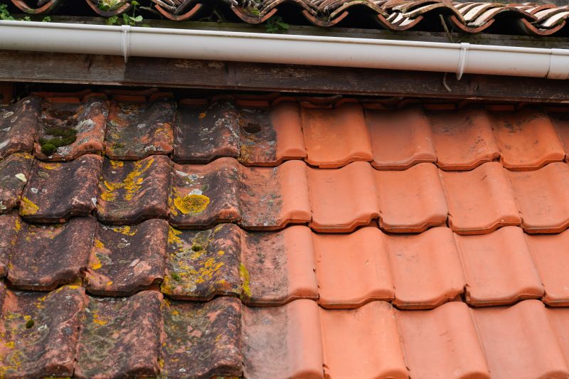 Moss-Free Roof Surface