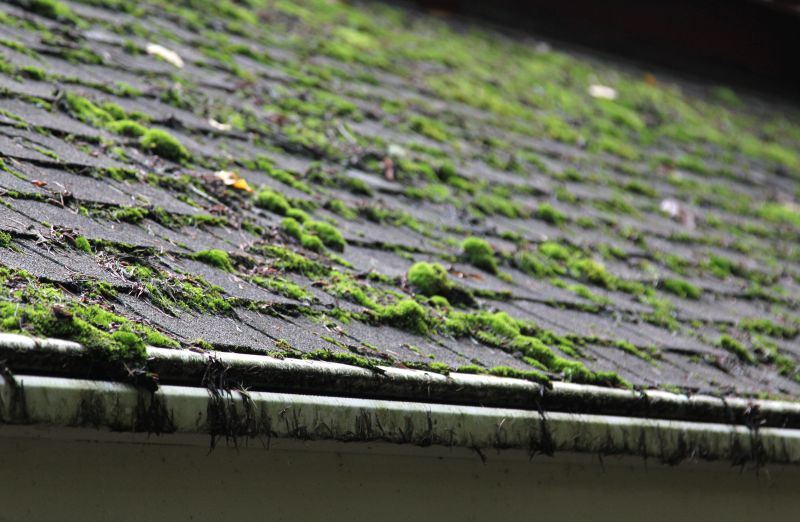 Clean Roof with Clear Shingles