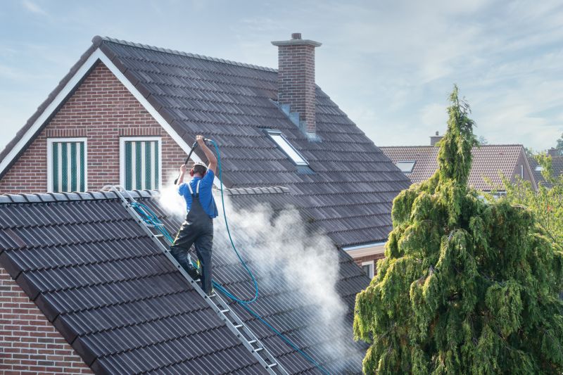 Signs Your Home Needs Professional Roof Cleaning
